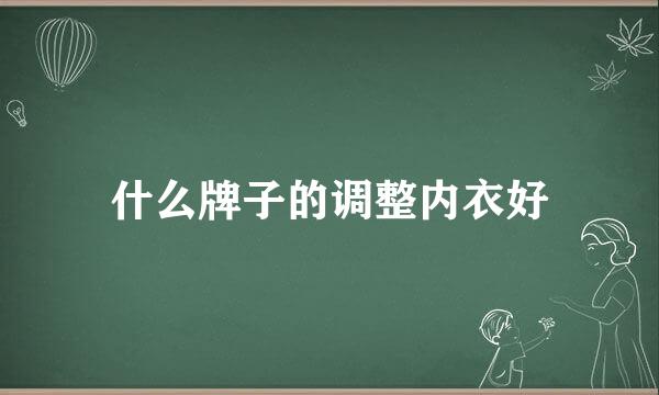 什么牌子的调整内衣好