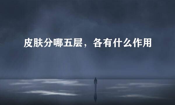 皮肤分哪五层，各有什么作用