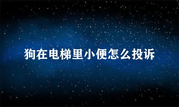 狗在电梯里小便怎么投诉
