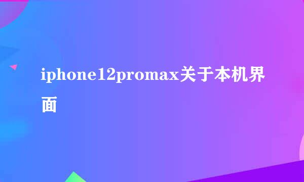 iphone12promax关于本机界面