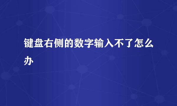 键盘右侧的数字输入不了怎么办