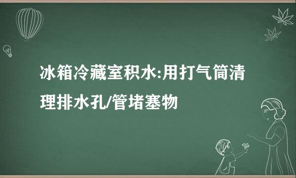 冰箱冷藏室积水:用打气筒清理排水孔/管堵塞物