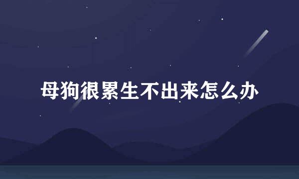 母狗很累生不出来怎么办