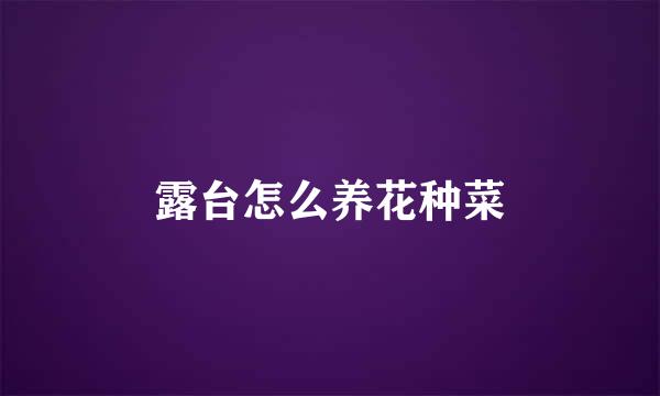 露台怎么养花种菜