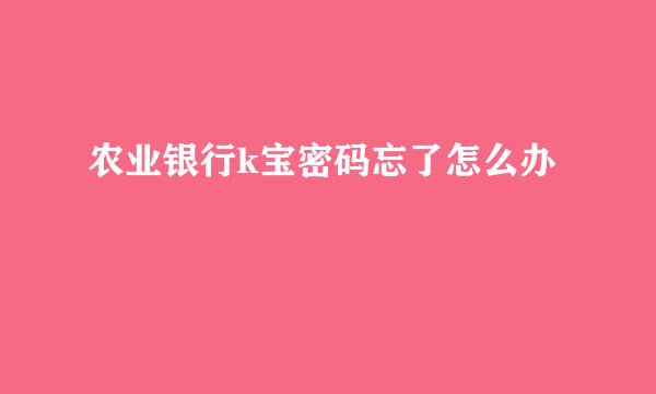 农业银行k宝密码忘了怎么办