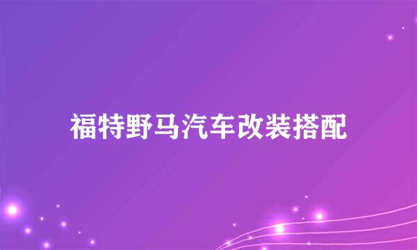 福特野马汽车改装搭配