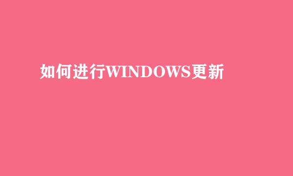 如何进行WINDOWS更新