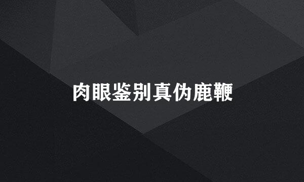肉眼鉴别真伪鹿鞭