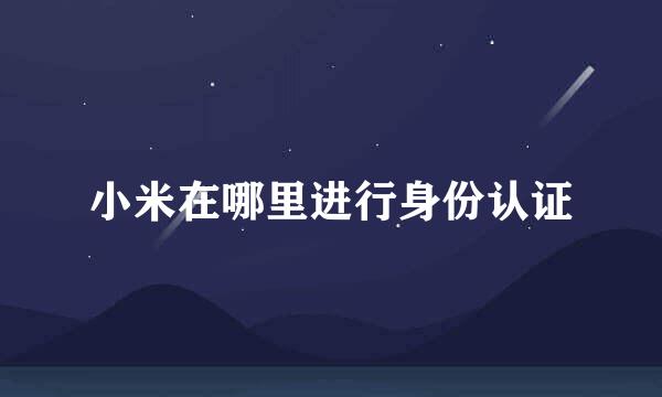 小米在哪里进行身份认证