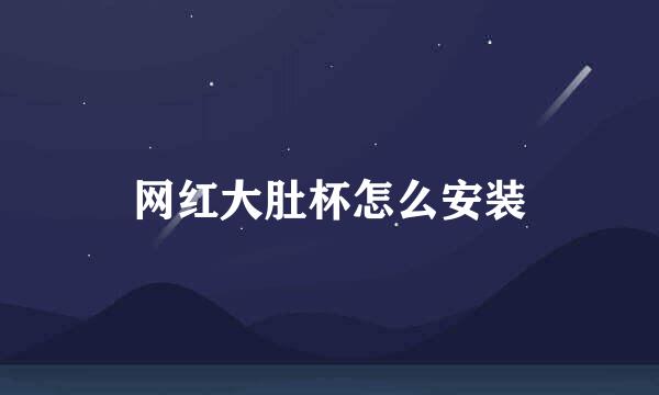 网红大肚杯怎么安装