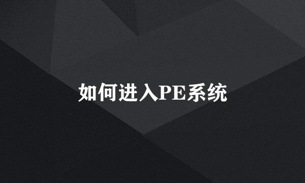 如何进入PE系统