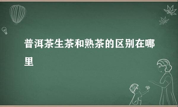 普洱茶生茶和熟茶的区别在哪里