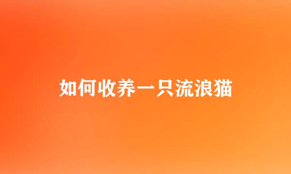 如何收养一只流浪猫