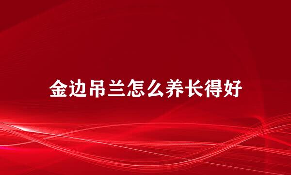 金边吊兰怎么养长得好