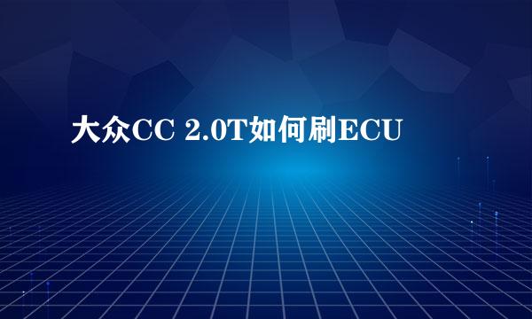 大众CC 2.0T如何刷ECU