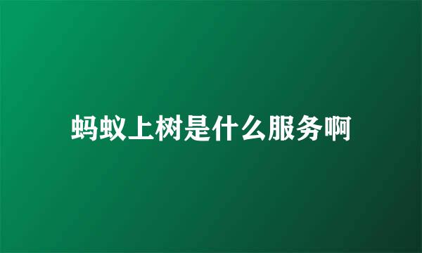 蚂蚁上树是什么服务啊
