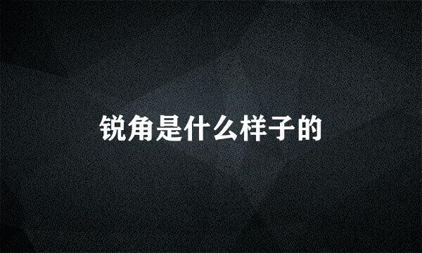 锐角是什么样子的