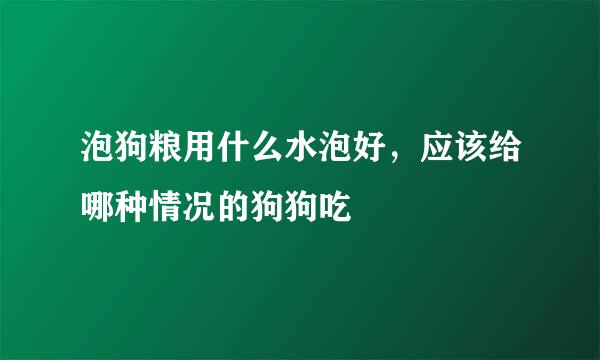 泡狗粮用什么水泡好，应该给哪种情况的狗狗吃