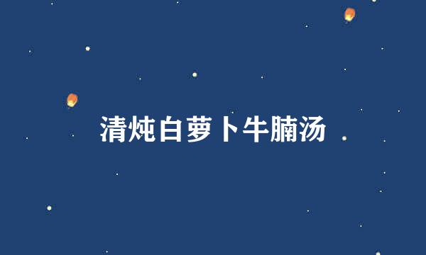 清炖白萝卜牛腩汤