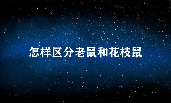 怎样区分老鼠和花枝鼠
