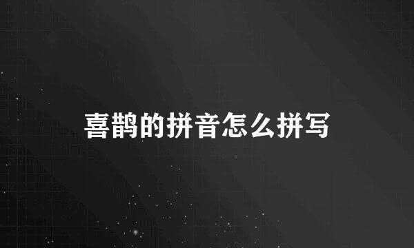 喜鹊的拼音怎么拼写