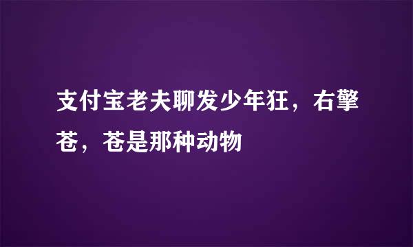支付宝老夫聊发少年狂，右擎苍，苍是那种动物