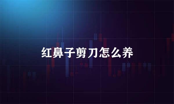 红鼻子剪刀怎么养