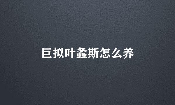 巨拟叶螽斯怎么养