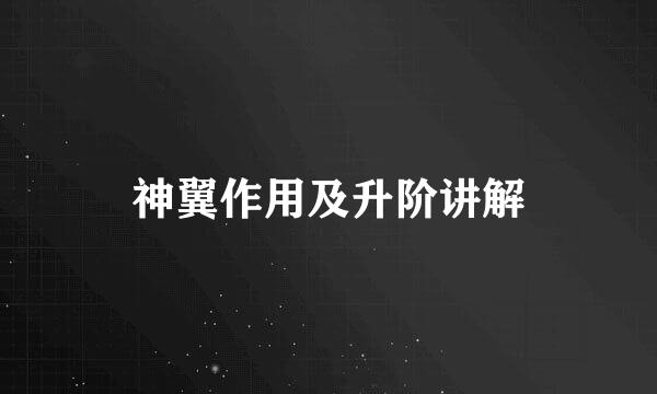 神翼作用及升阶讲解