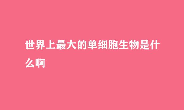 世界上最大的单细胞生物是什么啊