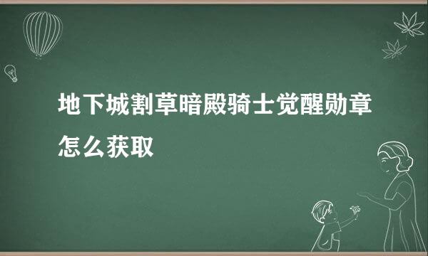 地下城割草暗殿骑士觉醒勋章怎么获取