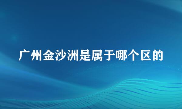 广州金沙洲是属于哪个区的
