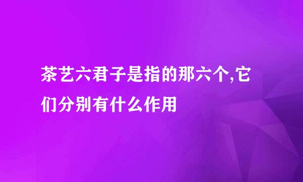 茶艺六君子是指的那六个,它们分别有什么作用