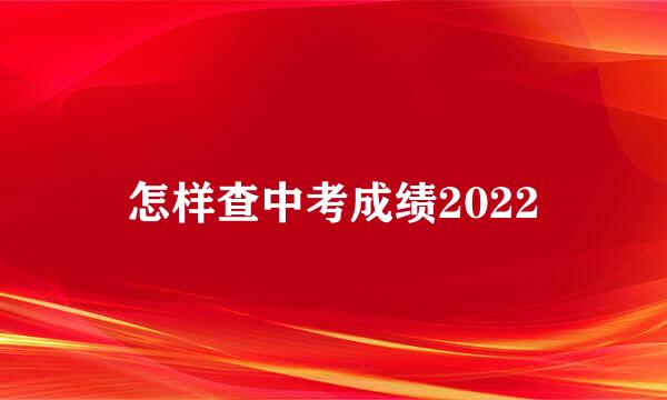 怎样查中考成绩2022