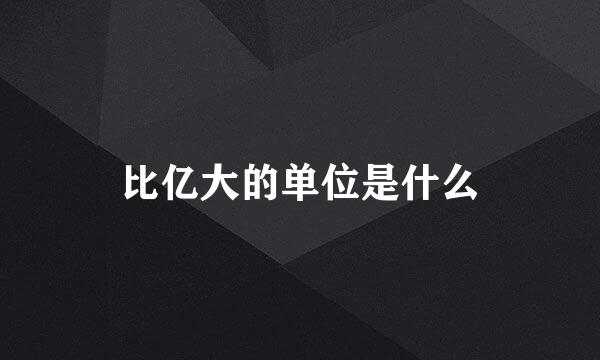 比亿大的单位是什么