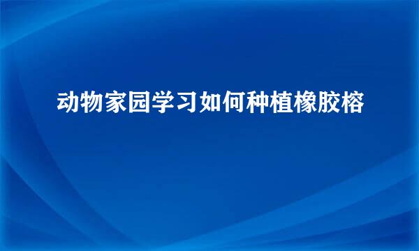 动物家园学习如何种植橡胶榕