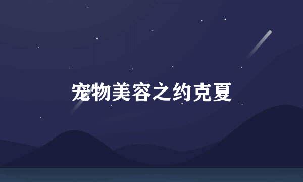宠物美容之约克夏