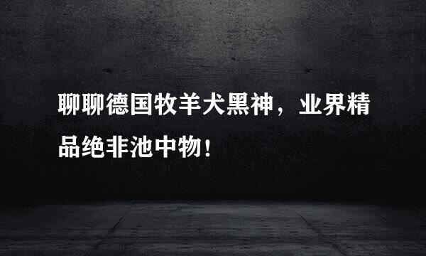 聊聊德国牧羊犬黑神，业界精品绝非池中物！