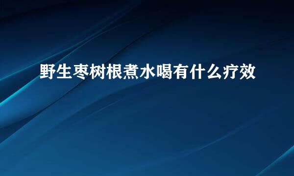 野生枣树根煮水喝有什么疗效