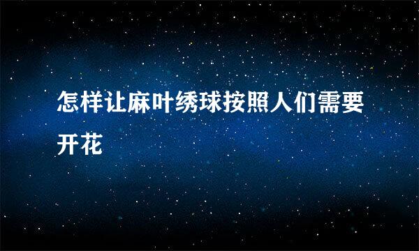 怎样让麻叶绣球按照人们需要开花