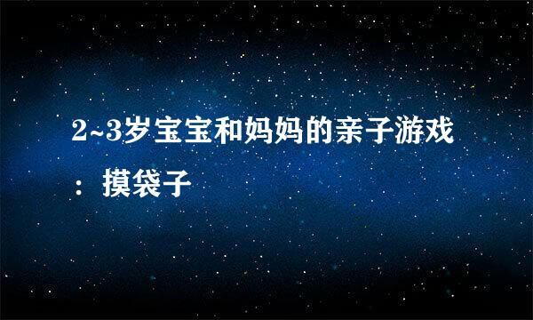 2~3岁宝宝和妈妈的亲子游戏：摸袋子