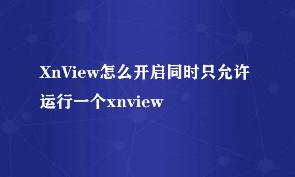 XnView怎么开启同时只允许运行一个xnview
