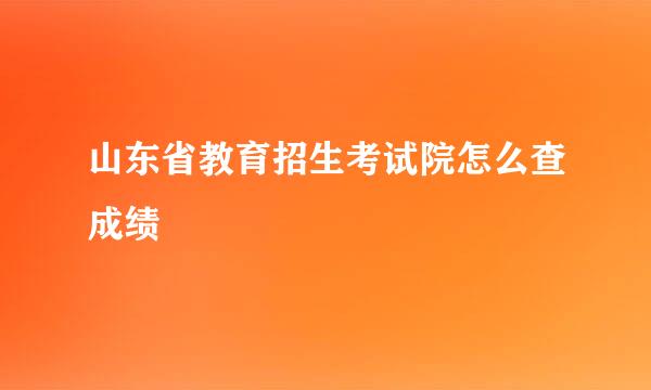 山东省教育招生考试院怎么查成绩
