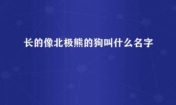 长的像北极熊的狗叫什么名字