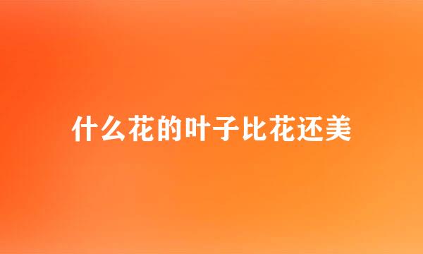 什么花的叶子比花还美