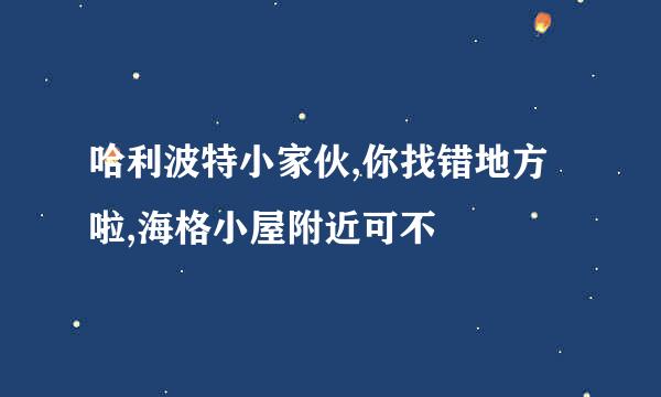 哈利波特小家伙,你找错地方啦,海格小屋附近可不