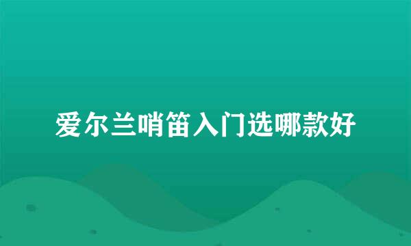 爱尔兰哨笛入门选哪款好