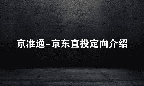 京准通-京东直投定向介绍