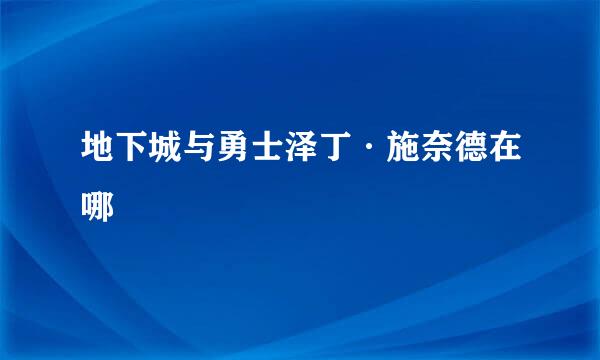 地下城与勇士泽丁·施奈德在哪
