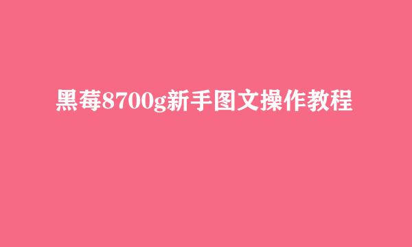 黑莓8700g新手图文操作教程